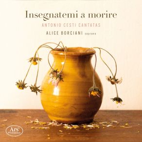 Download track Capricci Armonici Da Chiesa E Da Camera, Op. 4: Symphonia Seconda Alice Borciani, Il Zabaione Musicale