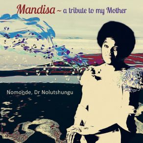 Download track How Insensitive Dr Nolutshungu