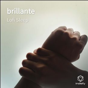 Download track Brillante Lofi Sleep