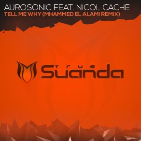 Download track Tell Me Why Mhammed El Alami Remix Aurosonic, Nicol Cache