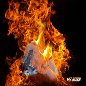 Download track Get Jiggy Wif Me Mz Burn