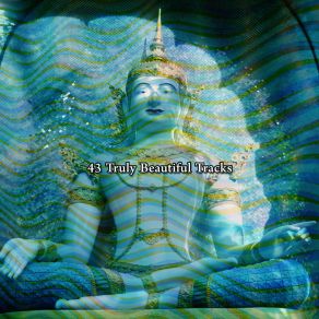 Download track Rekindled Asian Zen Spa Music Meditation