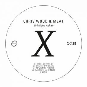 Download track Fragments Chris Wood, Meat