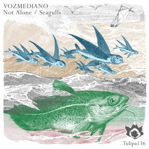 Download track Seagulls (Original Mix) Vozmediano