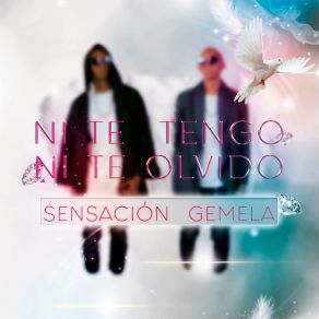 Download track Sienteme Asi Sensación Gemela