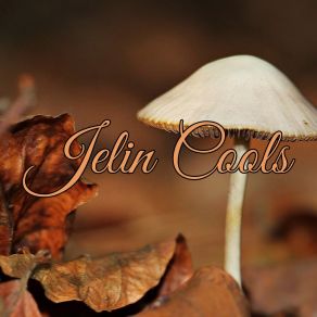 Download track Soul Viva Jelin Cools