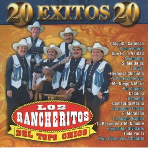 Download track Sueno Bonito Los Rancheritos Del Topo Chico