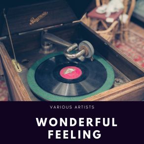 Download track Oh, What A Wonderful Feeling Irving Berlin