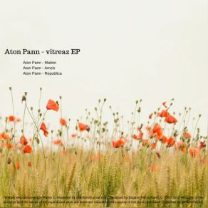 Download track Amzis (Original Mix) Aton Pann