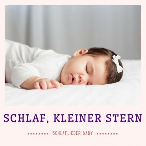 Download track Wiegenlieder Für Babys Schlaflieder Baby