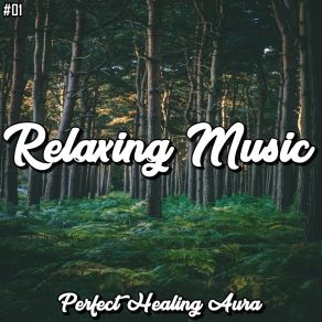 Download track Relaxing Meditation Vibe New Age Tibetan Meditation