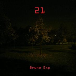 Download track My Funny Funky Vibes Bruno Exp