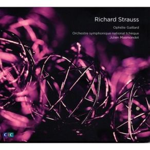 Download track 9. Don Quixote Op. 35 - IX. Variation VII Ein Wenig Ruhiger Als Vorher Richard Strauss