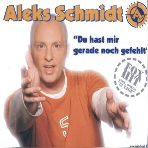 Download track 13 Tage Aleks Schmidt