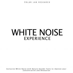 Download track White Noise, Lake, Bird (432Hz Remastered) Polar Lab Research