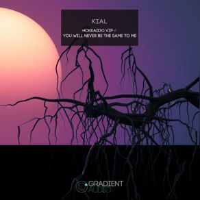 Download track You Will Never Be The Same To Me (Original) Kial