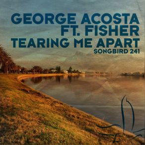 Download track Tearing Me Apart (DNS Project Whiteglow Dub Mix) George Acosta