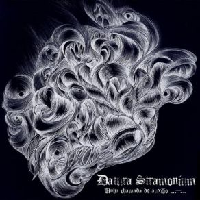 Download track Estramonio Datura Stramonium