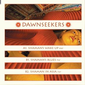 Download track Shaman's Wake Up Dawnseekers