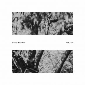 Download track Park V Slawek Jaskulke