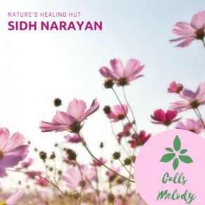 Download track Portal To Other Worlds Sidh Narayan