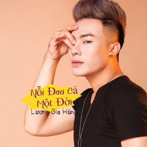 Download track Nỗi Đau Cả Một Đời Luong Gia Hung