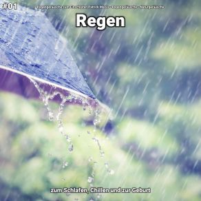 Download track Regen, Pt. 42 Naturgeräusche