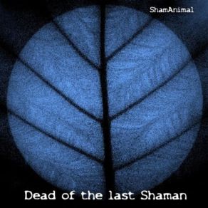 Download track Océan Dream ShamAnimal