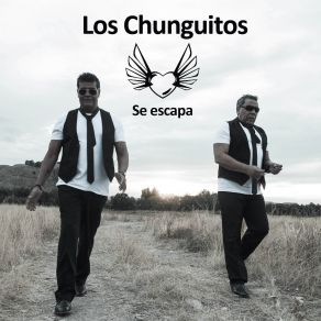 Download track Del Cielo Cayó Un Pañuelo Los Chunguitos