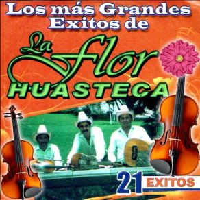 Download track La Joven De Ojos Negros La Flor Huasteca