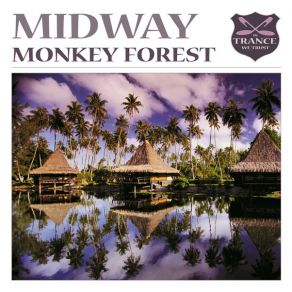 Download track Travelling (Original Mix) Midway