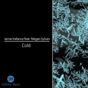 Download track Cold (Original Mix) Megan Sylvan