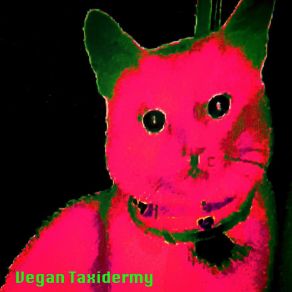 Download track Pop Banger Vegan Taxidermy