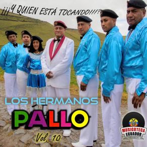 Download track Te Quiero Mucho Los Hermanos Pallo