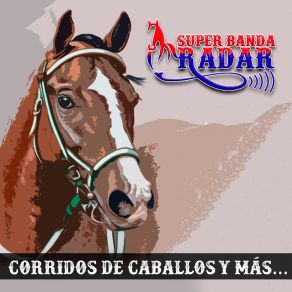 Download track La Sota Colorada Super Banda Radar