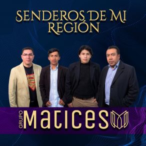 Download track Pedida De Mano Grupo Matices