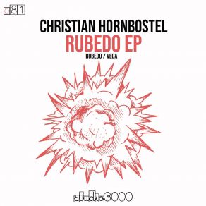 Download track Veda (Original Mix) Christian Hornbostel