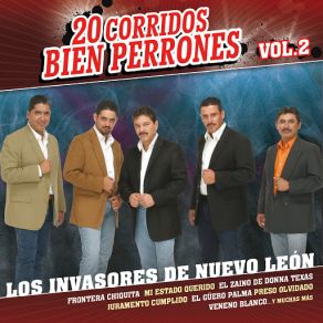 Download track Mi Estado Querido Los Invasores De Nuevo Leon