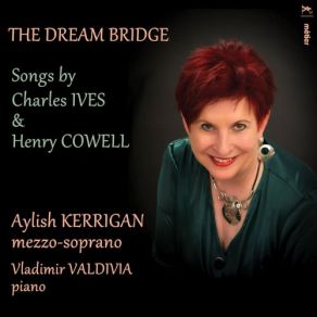 Download track Where She Lies Vladimir ValdiviaAylish Kerrigan