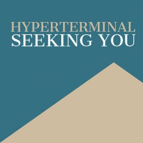 Download track Seeking You (Silvergold Remix) Hyperterminal