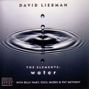 Download track Bass Interlude (From The Elements - Water) Pat Metheny, David Liebman, The Water, Billy Hart