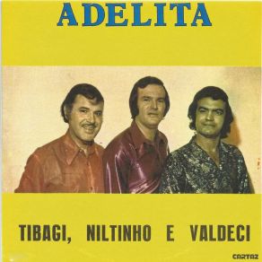 Download track Minha Última Noite Niltinho E Valdeci