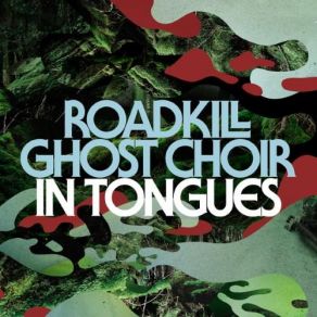 Download track I Could See Everything Roadkill Ghost Choir