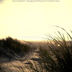 Download track Bossa Quintet Soundtrack For Summer Vacation Cool Jazz Chill