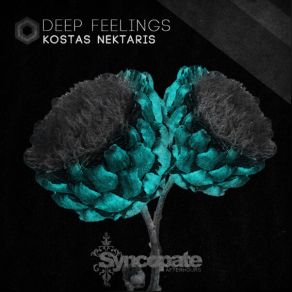 Download track Bring The Love (Original Mix) Kostas Nektaris