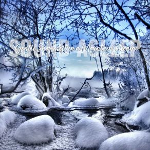 Download track Gentle Snowmelt In A Mountain Stream, Pt. 8 Elijah Wagner