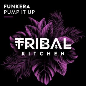 Download track Pump It Up Funkera