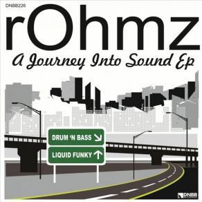 Download track Promise Land (Original Mix) Rohmz