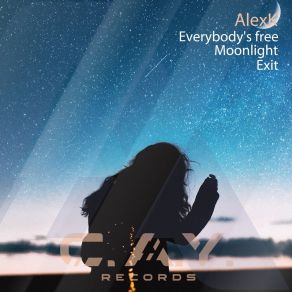 Download track Moonlight (Original Mix) AlexK