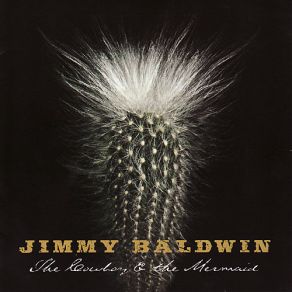 Download track Brown Paper Koozie Blues Jimmy Baldwin